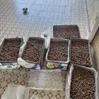 تمر