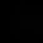 متوفر فروخ روز البيع جمله