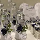 توزيعات مواليد