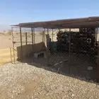 صندقه للبيع