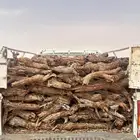 صندوق هايلوكس