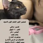 انقذوهم من الشارع