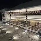 بيوت شعر جديدة آبيض وأسود جميع المقاسات وخيم