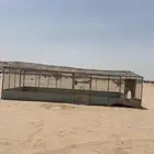 شبك مجلس