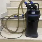 حوض سمك شبه جديد و فلتر خارجي