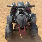 دباب الوسيط