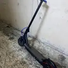 ما يجي ال صامل