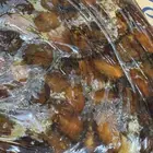 تمر ضميد سكريه حمراء يدوي خلاص وشقراء 4 ريال