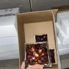 جميع انواع التمور