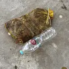 تمر