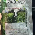 بذور بونيكام اسباني انتاج جديد