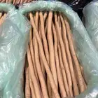 مساويك اليوم