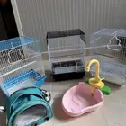 اقفاص وحاجات للطيور كماليات مستلزمات