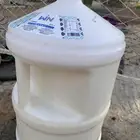 حليب ماعز طازج