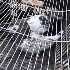 حمام باكستاني دم صافي