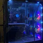 بي سي