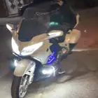 قولد وينق 2018 تمتيك