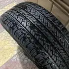 جنوط كابرس لومينا
