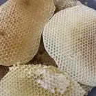 عسل سدر صافي شرط