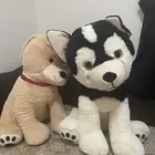 كلاب دمية كبيرة
