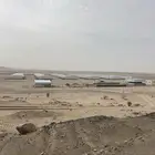 مشروع دواجن لاحم مغلق جاهز لشغل