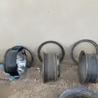 جنوط دينا مديل 16