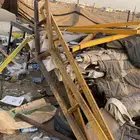 جاملون حديد اخو الجديد