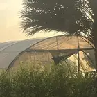 مطلوب بيوت محمية للبيع