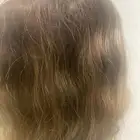 باروكه شعر اوربي خاص السعر
