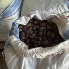 تمر وجريد نخل للغنم والحلال