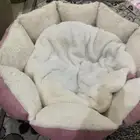 اعرض عليكم بيوت او مجالس سرر للقطط او الكلاب