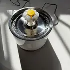 نافورة مياه للقطط