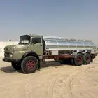 وايت سقس شد بلد للبيع