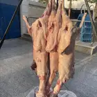 معلم  مشويات