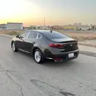 كادينزا 19