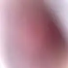 أبي ببغاء لوري تبني