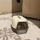 بيت قطو