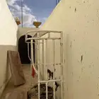 شده هايلوكس غمارتين 2015