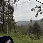 مطلوب مزرعة للايجار