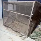 للبيع شبك طيور