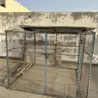 شبك او عشه