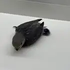 روز اليف