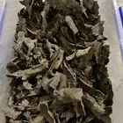 عود زوايا فيتنامي طبيعي