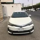 كورلا 2019
