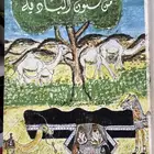 كتاب من فنون البادية نايف الحربي