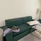 كنب