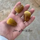 تمر سكري وحلوه ومكتومي