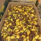 تمر علف البيع