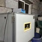 فقاسة عون المربي 300 بيض وفقاسة 48. كلها عون المربي