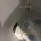 غساله للبيع